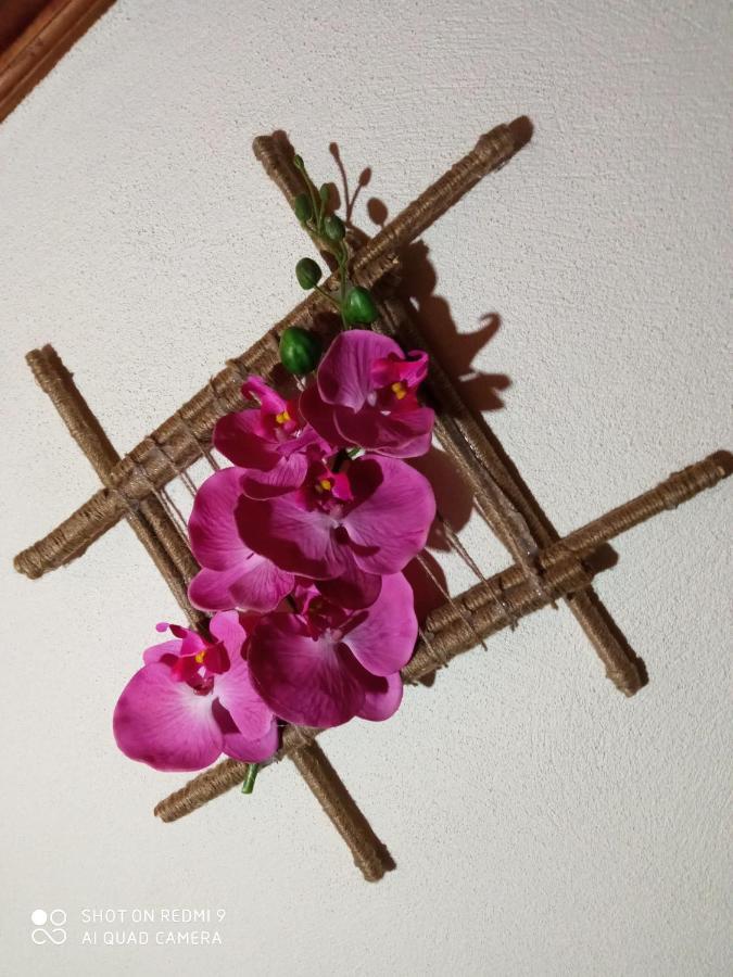 Casa Dos Grilos Penacova Eksteriør bilde