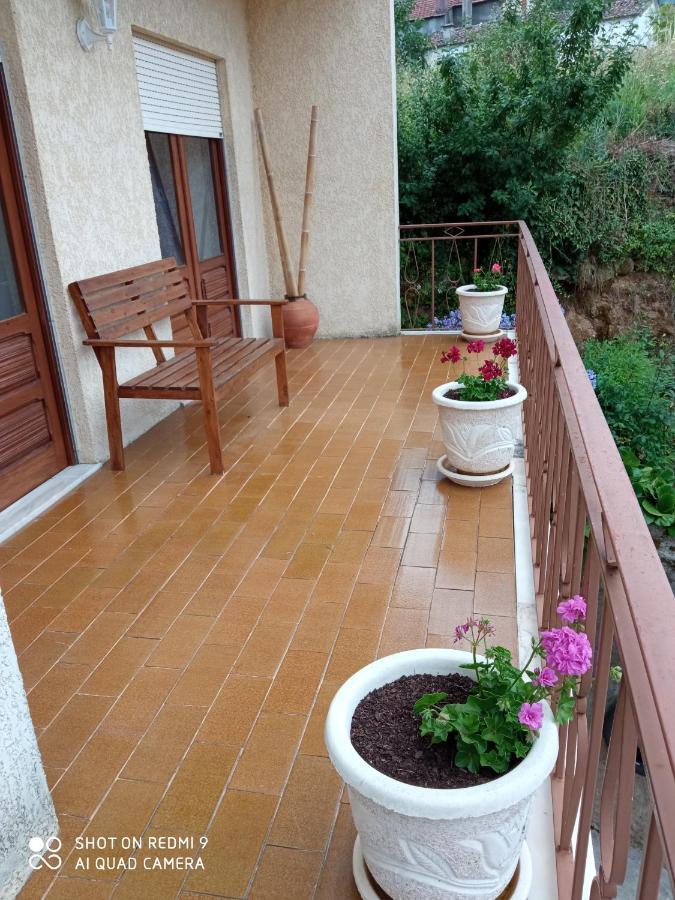Casa Dos Grilos Penacova Eksteriør bilde
