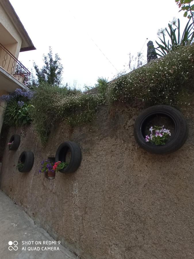 Casa Dos Grilos Penacova Eksteriør bilde