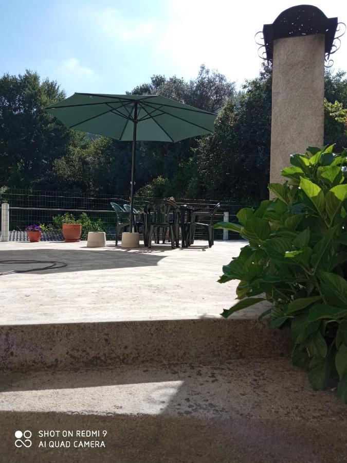 Casa Dos Grilos Penacova Eksteriør bilde