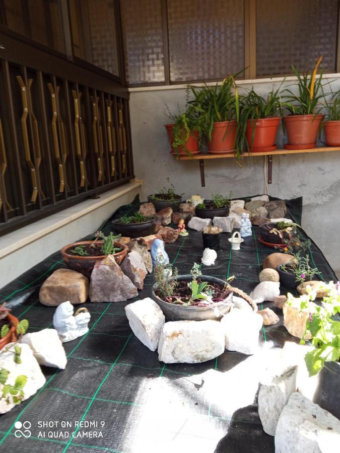 Casa Dos Grilos Penacova Eksteriør bilde