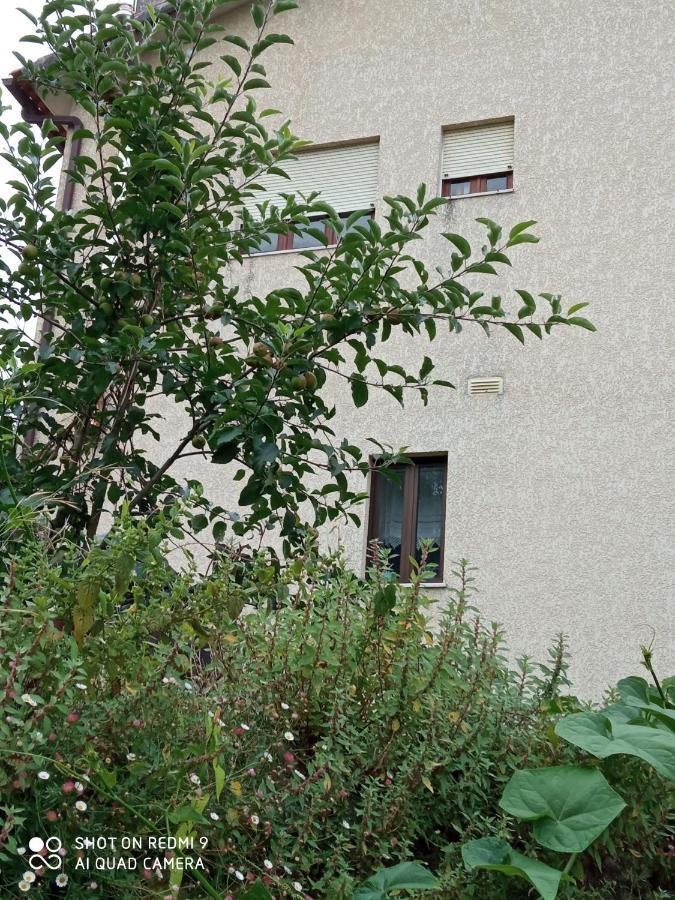 Casa Dos Grilos Penacova Eksteriør bilde